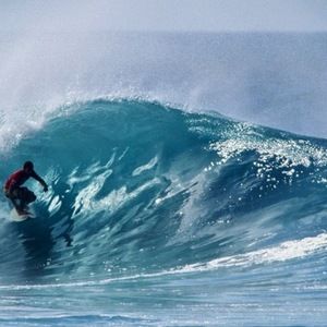 Meet your Posher, Sean